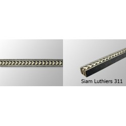 Back Strip 311 Back Strip 311